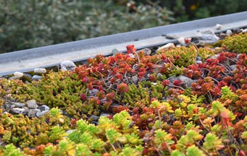 the cost of Cattawade green roof installation