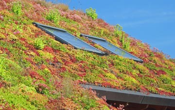 Cattawade living roof systems