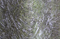 Cattawade fibreglass roof work